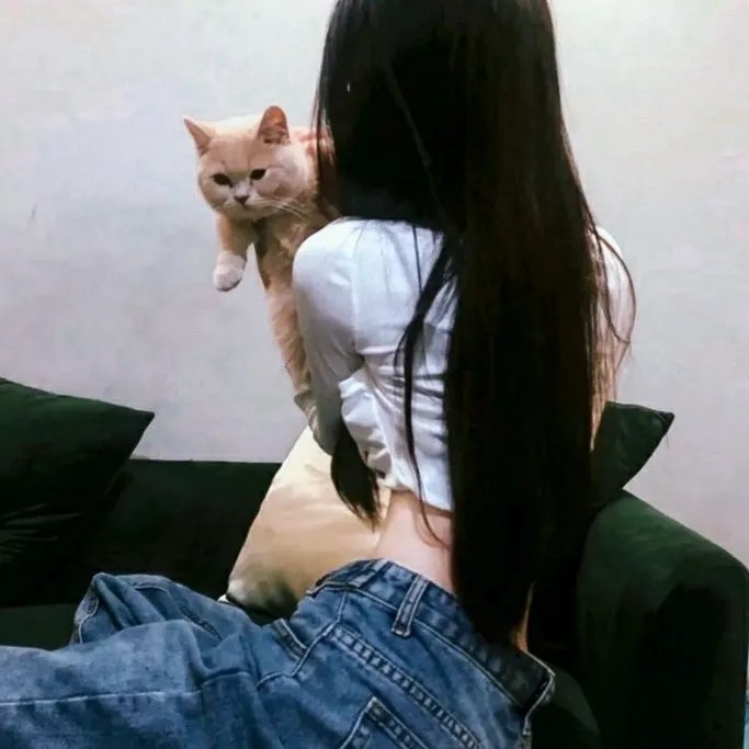 撒哈拉狮王救援