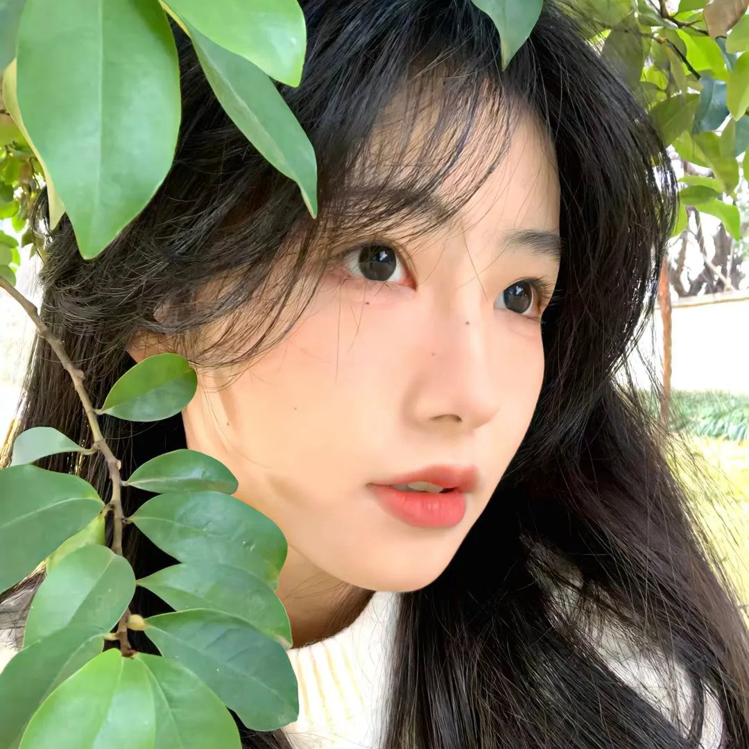 苍穹浩瀚第四季