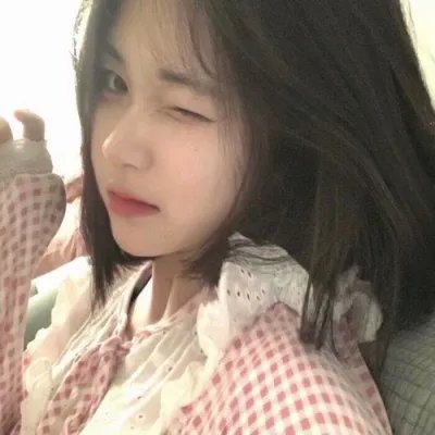 追鹰日记